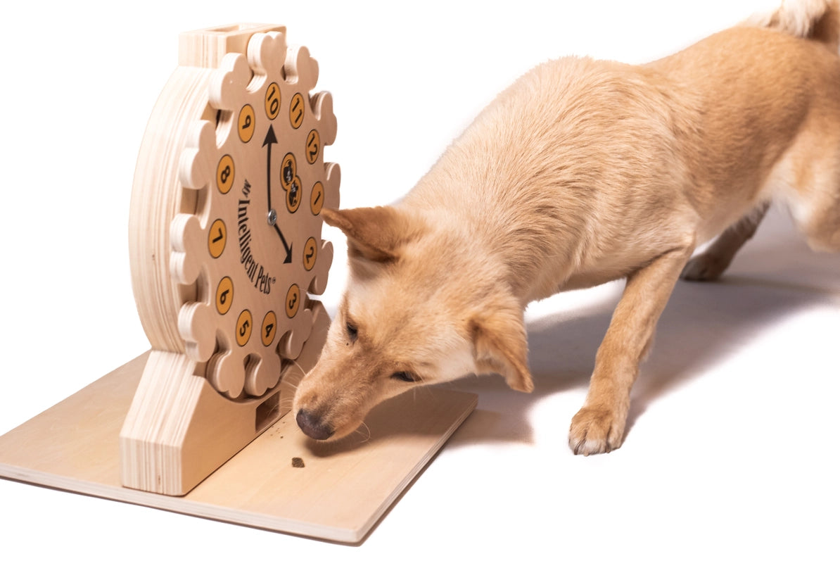 Pet's O'Clock Interactive Game