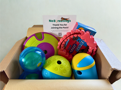Monthly Puzzle Swap Club Membership
