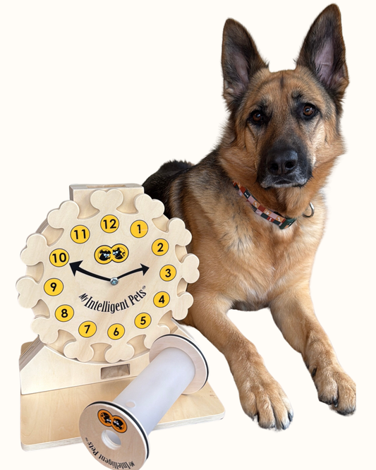 Rolling Treat Dispenser