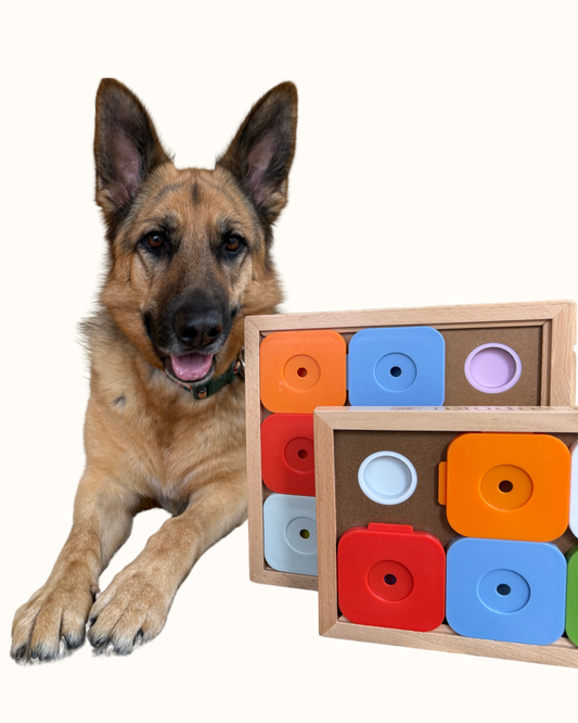 Dog Sudoku - Moderate Level